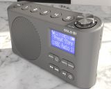Solo B1 Grey